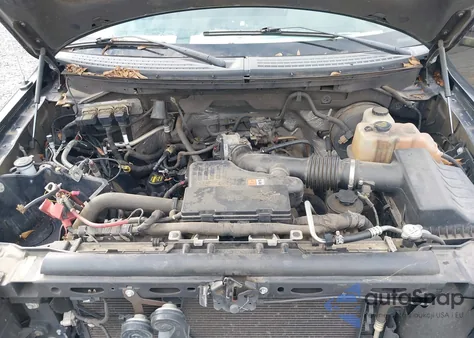 2010 Ford F-150 Stx/Xl/Xlt from USA, damaged, VIN 1FTMF1CW9AKB84141